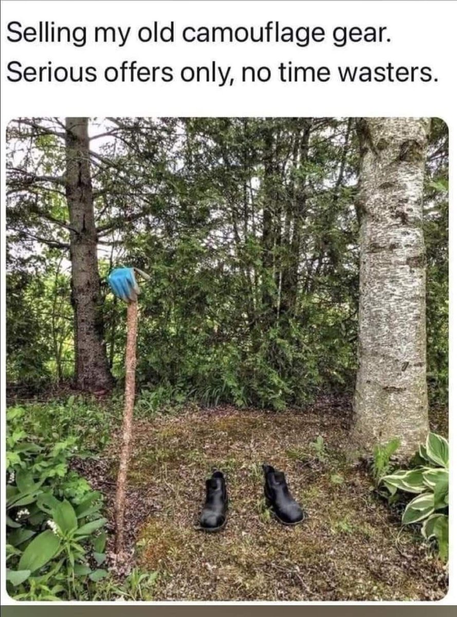 GtpSihPW0AASvA0