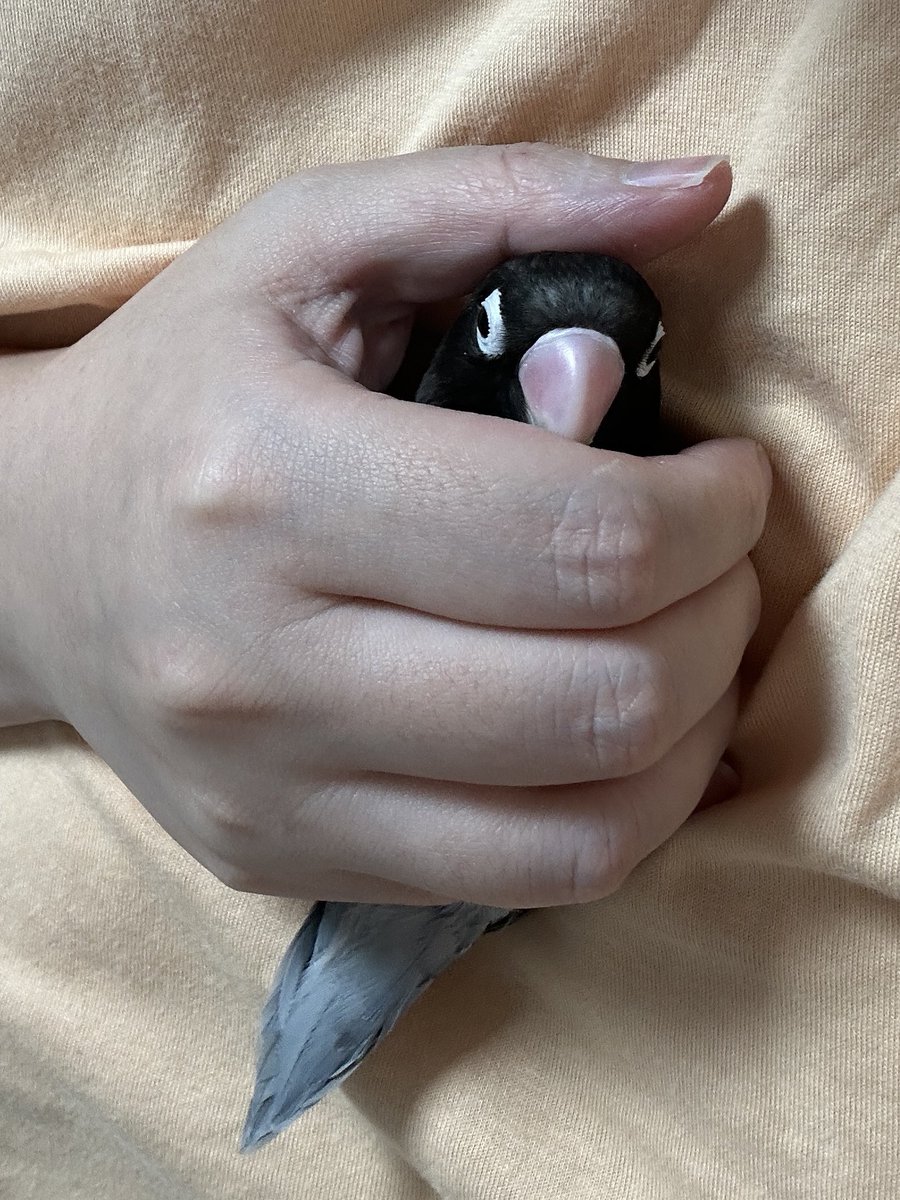 (니를죽일끼다) O o