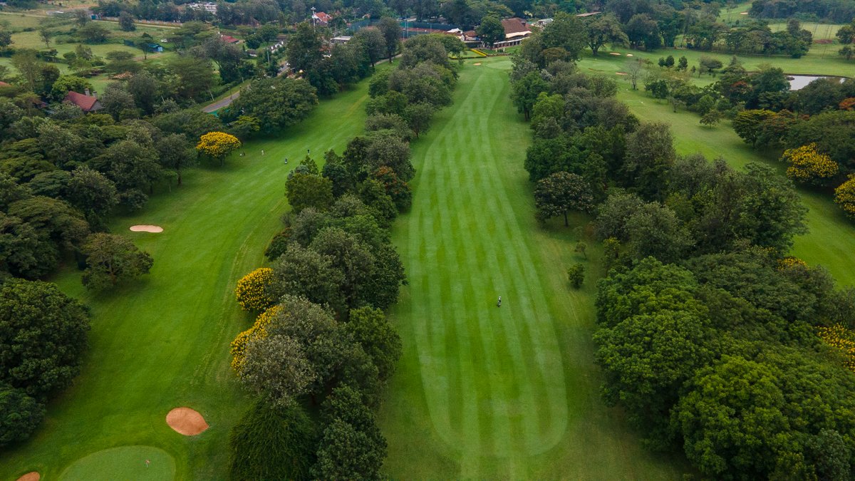 Ever seen #golf like this?

Breathtaking from every angle. 🏌️‍♂️
This is Karen Country Club—a course worthy of your vote.
Vote now for Kenya’s Best Golf Course.
worldgolfawards.com/vote/karen-cou…

#WorldGolfAwards #WeAreKaren