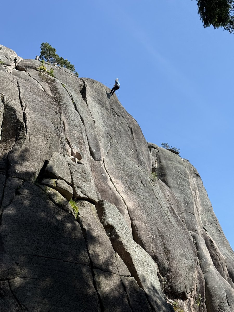 Totaltekst tweet media