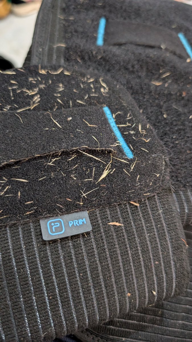 VJabiM's tweet photo. Me he dado cuenta esta mañana que la faja que uso, entre otras cosas para recoger alpacas, es de $PRIM, un abrazote @iparatx https://t.co/XLLgdhci39