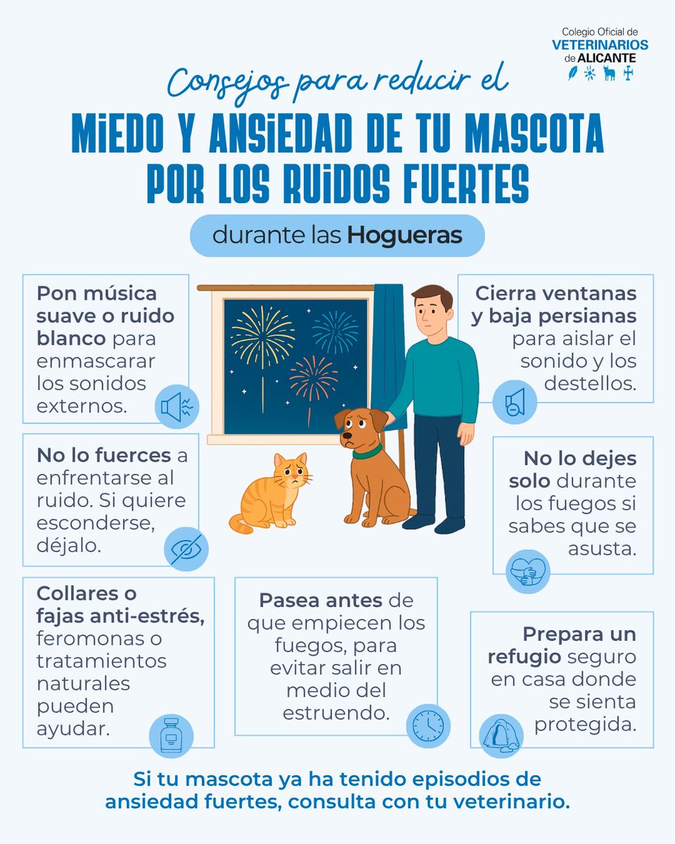 Empiezan las Hogueras de Alicante 🎇 con mascletás, fuegos artificiales y... mucho ruido.
🐶🐱 Para nuestras mascotas, estos días pueden ser muy estresantes.

👉 Aquí te dejamos algunos consejos para proteger a tu peludo del miedo y la ansiedad por los ruidos fuertes