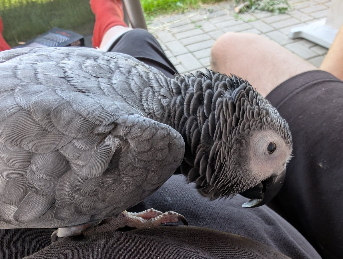 Kaffeegrüße vom Benny