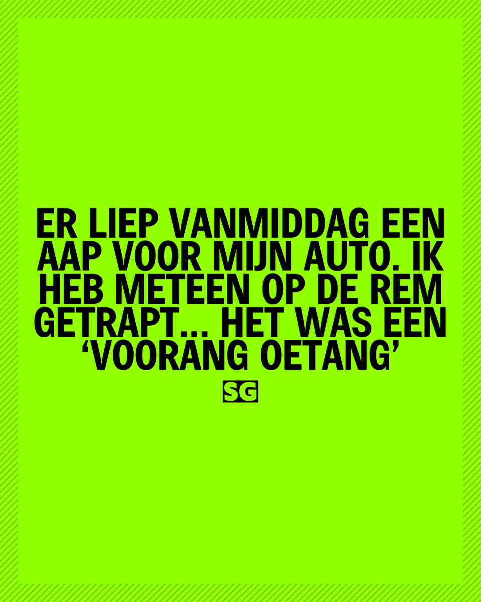 Slechte_grappen's tweet photo. Blijkt het een โvoorang oetangโ te zijn! ๐ต๐
#woordgrap #voorrang #humorgram #taalhumor #funnycontent #viralgrap #sgxl #voorangoetang #relatablefunny https://t.co/LgTmeBYTQF