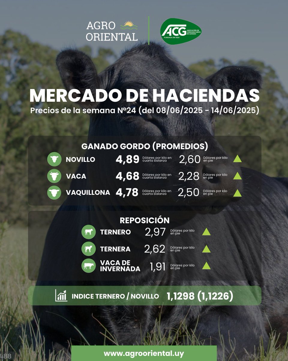 🐂 𝗠𝗘𝗥𝗖𝗔𝗗𝗢 𝗗𝗘 𝗛𝗔𝗖𝗜𝗘𝗡𝗗𝗔𝗦
Precios de la semana N°24 (del 08/06/2025 - 14/06/2025)

AgroOriental, una nueva forma de ver el campo.
📲 Por más info: agrooriental.uy