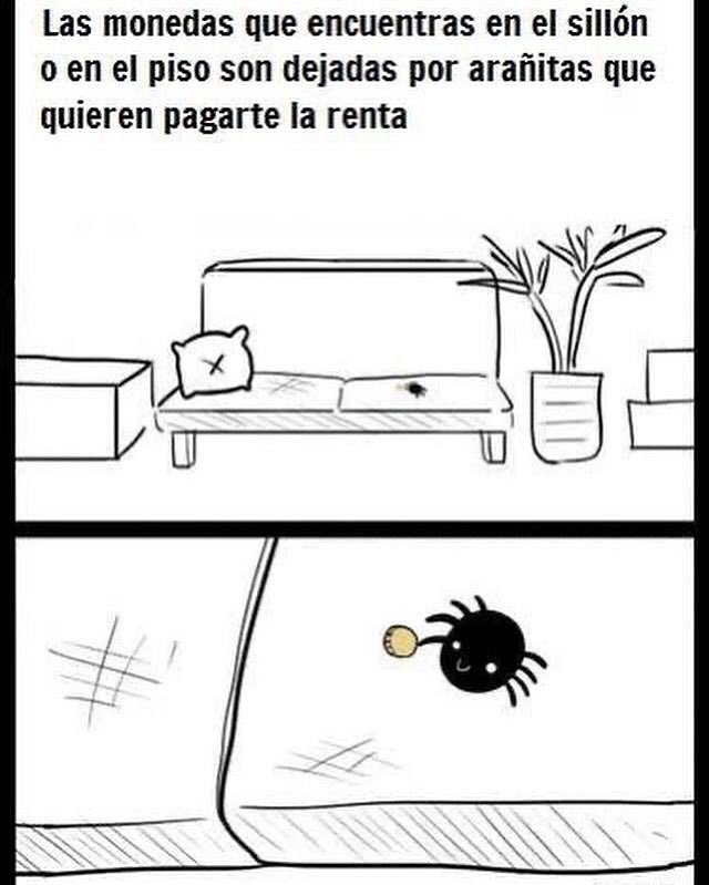 Enséñame de Ciencia tweet media