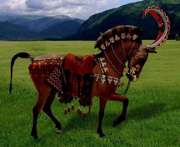 Imagine being some lowly shepherd when you see the king of the horde stride through your pastures on this steed in the iron age.