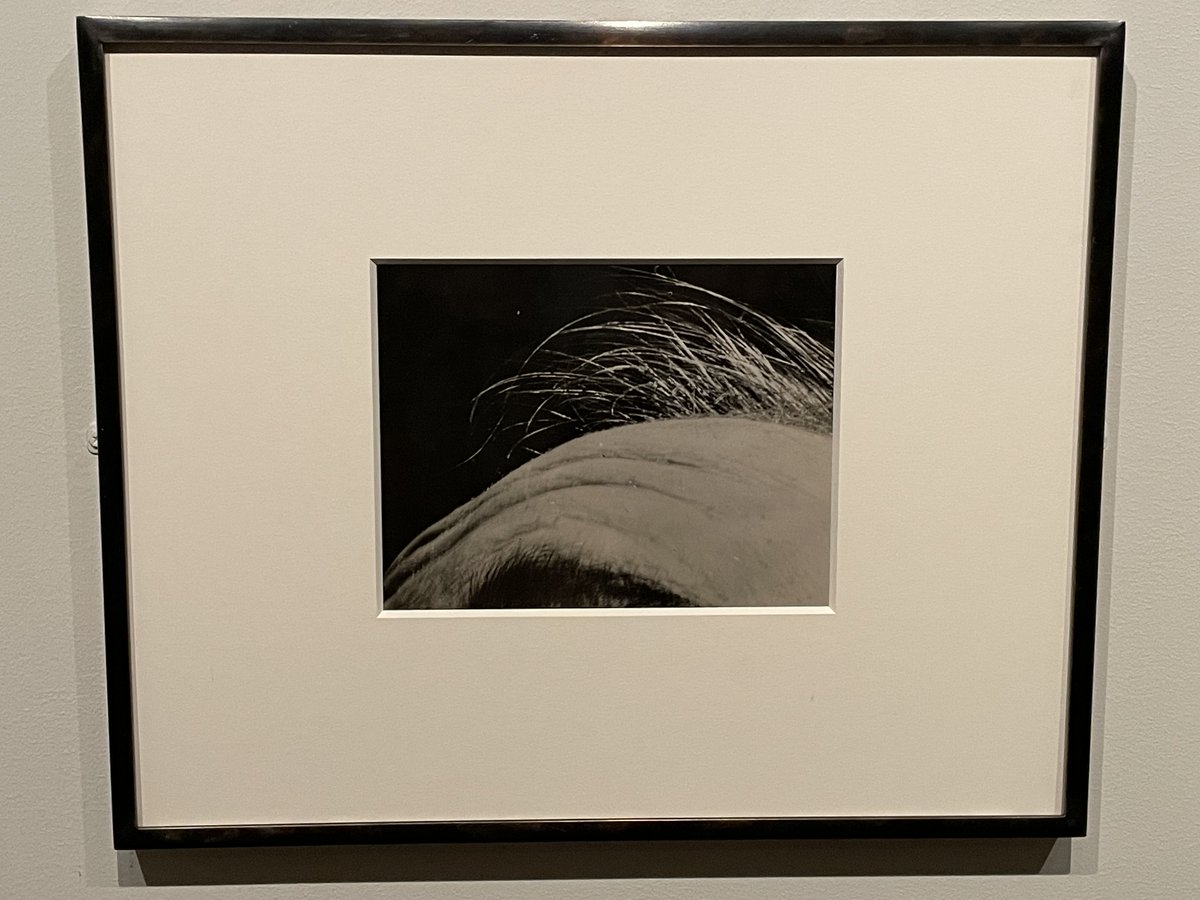 Collector Daily (@collectordaily) on Twitter photo Daybook: Thinning hair on an up-close forehead, like grasses on windswept dunes. Paul Edmund Hahn (from 1929) in the second floor hallway at the Met. <a href="/metmuseum/">The Metropolitan Museum of Art</a> collectordaily.com/paul-edmund-ha⦠Daybook: Thinning hair on an up-close forehead, like grasses on windswept dunes. Paul Edmund Hahn (from 1929) in the second floor hallway at the Met. <a href="/metmuseum/">The Metropolitan Museum of Art</a> collectordaily.com/paul-edmund-haā¦