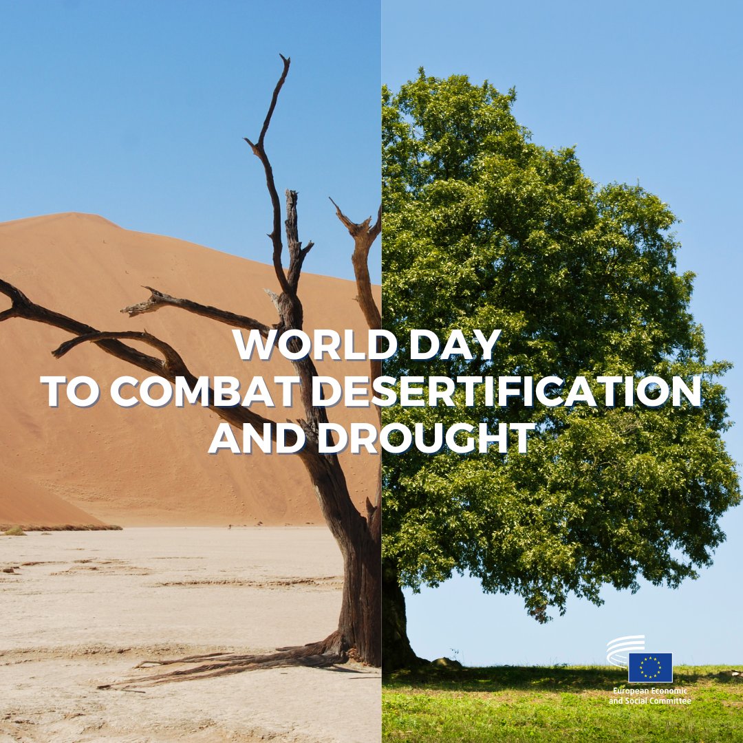 🌍 On #DesertificationAndDroughtDay, we spotlight the #OneHealth approach: protecting ecosystems, animals &amp; people together.
A healthy planet means healthy lives. 

More 👉europa.eu/!3fkWkX