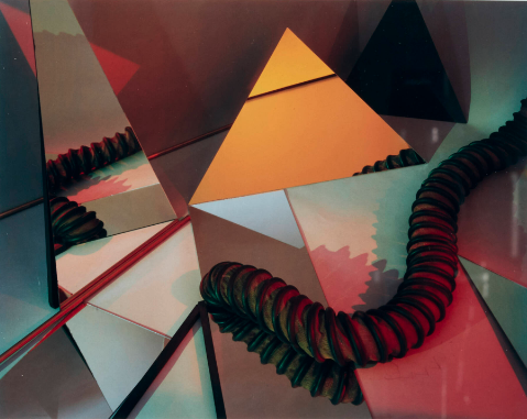 Auction Results: Photographs from the Polaroid Collection, June 10, 2025, at Rago. collectordaily.com/auction-result…