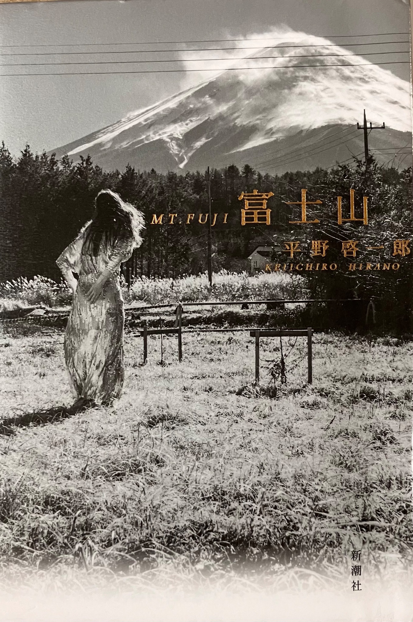 平野啓一郎作品公式｜最新エッセイ集『文学は何の役に立つのか