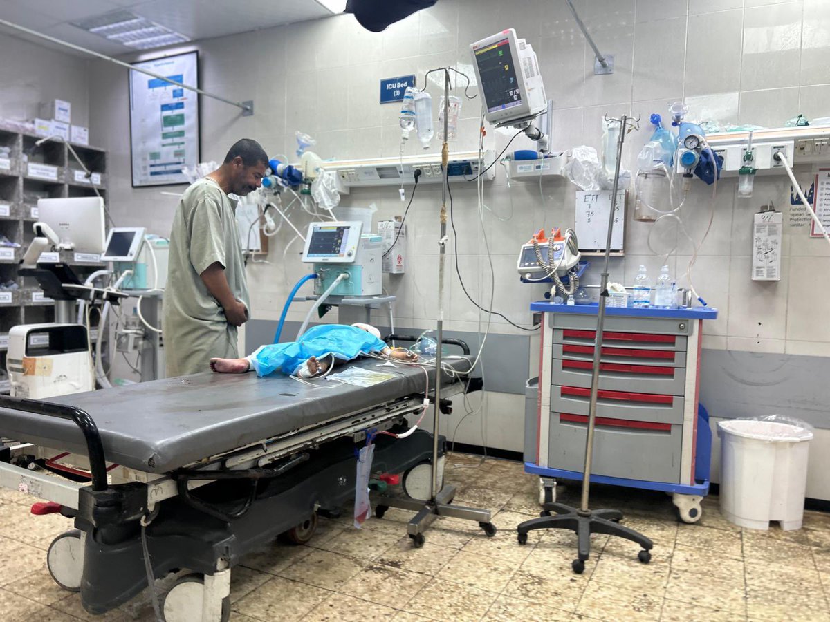 Soldados israelíes han disparado a niños cuando trataban de ayudar a su familia recogiendo harina en los puestos de reparto que controla el ejército hebreo.