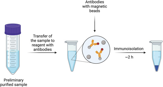 #AdvNutr review evaluates methods for the isolation &amp; characterization of extracellular vesicles from #HumanMilk, highlighting their effectiveness and potential applications, incl. their therapeutic potential in #neonatal care and #PersonalizedNutrition: ow.ly/P1lZ50WaIGn