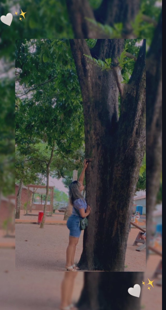 Aqui é Pará 
Aqui é Amazônia