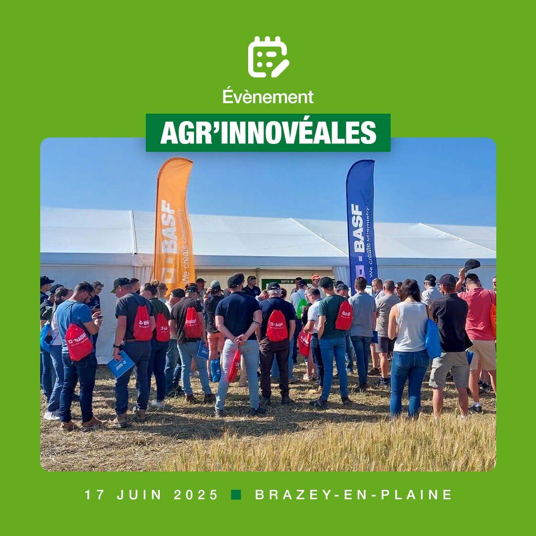 BASF_Agro_FR's tweet photo. [LIVE]
C’est parti pour les Agr’Innovéales à Brazey-en-Plaine (21) !

Durant ces deux journées, cinq ateliers thématiques sont proposés :

1️⃣ Désherbage du blé : focus sur l’innovation BASF pour lutter efficacement contre les ray-grass et vulpins.

2️⃣ Désherbage des cultures de printemps : présentation des projets en cours.

3️⃣ Cultures de remplacement : quelles solutions après un accident cultural, selon l’herbicide utilisé ?

4️⃣ Fongicides blé : mise en lumière des solutions BASF pour une protection efficace.

5️⃣ Préservation des ressources en eau & biosolutions : gestion du ruissellement sur les parcelles sensibles et découverte des biosolutions BASF.

Tout au long de la journée, les participants ont eu l’opportunité d’échanger avec nos experts. Un grand merci à toutes et tous pour votre présence !

📅 On vous donne rendez-vous demain !

#BASF #WeAreBASF #Agroecologie #Innovation #AgrInnoveales #VisiteEssais #Ateliers #Ble #Biosolutions