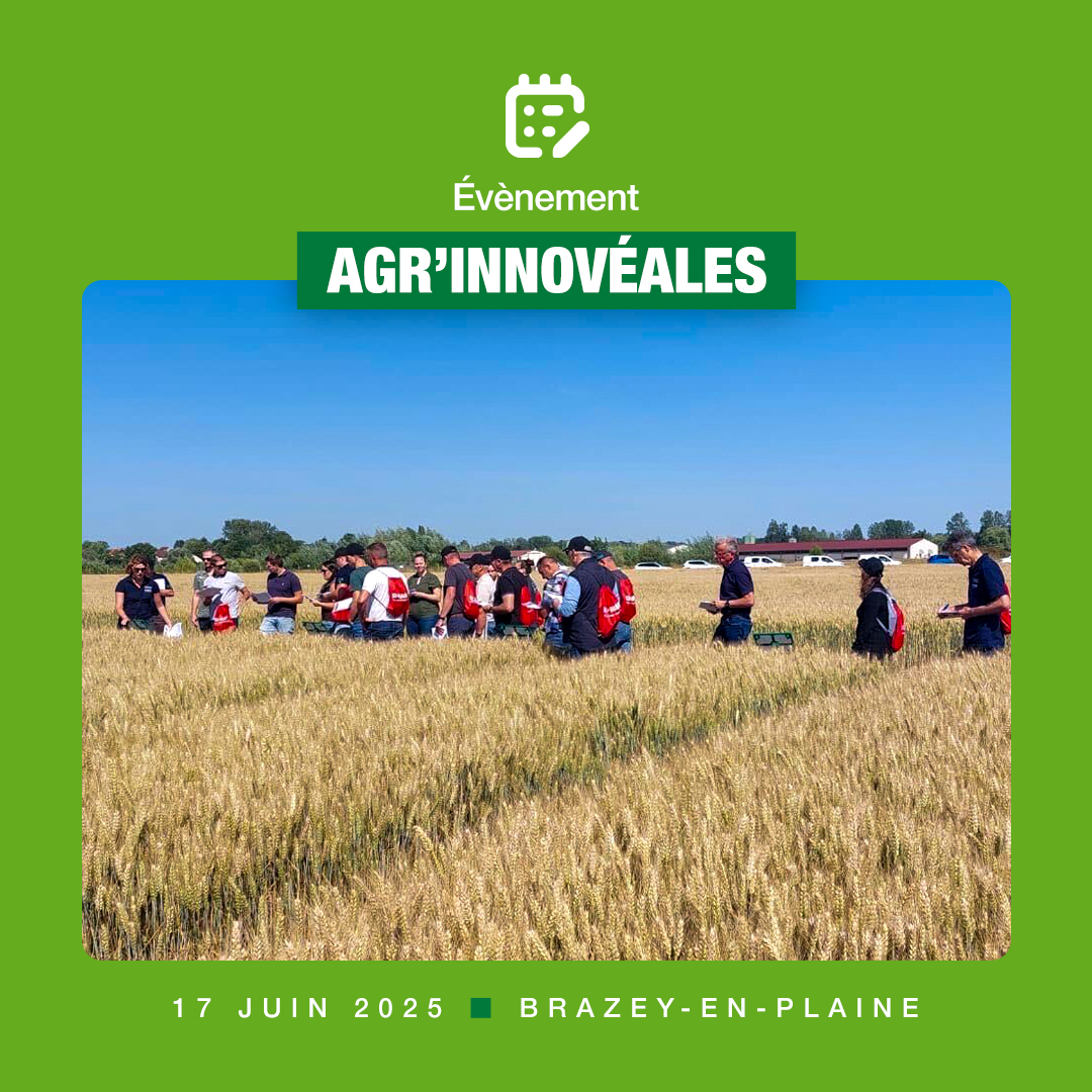 [LIVE]
C’est parti pour les Agr’Innovéales à Brazey-en-Plaine (21) !

Durant ces deux journées, cinq ateliers thématiques sont proposés :

1️⃣ Désherbage du blé : focus sur l’innovation BASF pour lutter efficacement contre les ray-grass et vulpins.

2️⃣ Désherbage des cultures de