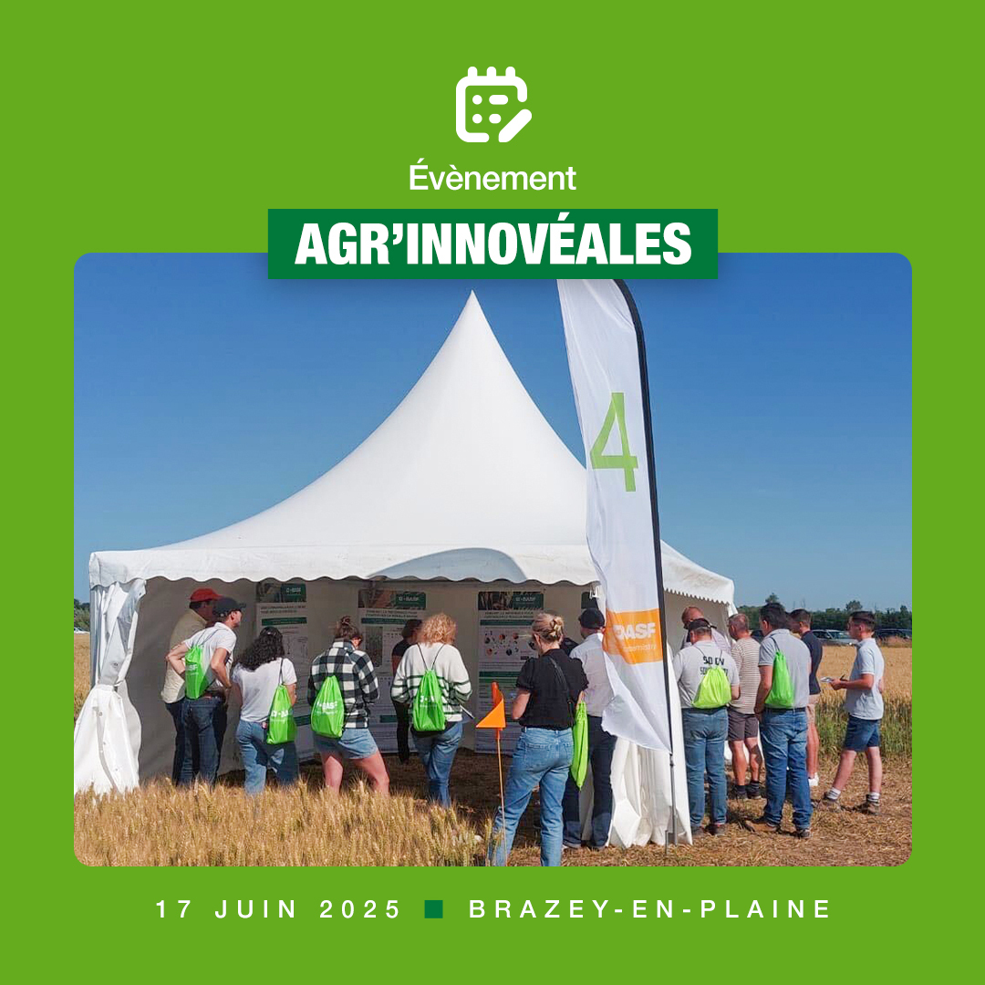 BASF_Agro_FR's tweet photo. [LIVE]
C’est parti pour les Agr’Innovéales à Brazey-en-Plaine (21) !

Durant ces deux journées, cinq ateliers thématiques sont proposés :

1️⃣ Désherbage du blé : focus sur l’innovation BASF pour lutter efficacement contre les ray-grass et vulpins.

2️⃣ Désherbage des cultures de printemps : présentation des projets en cours.

3️⃣ Cultures de remplacement : quelles solutions après un accident cultural, selon l’herbicide utilisé ?

4️⃣ Fongicides blé : mise en lumière des solutions BASF pour une protection efficace.

5️⃣ Préservation des ressources en eau & biosolutions : gestion du ruissellement sur les parcelles sensibles et découverte des biosolutions BASF.

Tout au long de la journée, les participants ont eu l’opportunité d’échanger avec nos experts. Un grand merci à toutes et tous pour votre présence !

📅 On vous donne rendez-vous demain !

#BASF #WeAreBASF #Agroecologie #Innovation #AgrInnoveales #VisiteEssais #Ateliers #Ble #Biosolutions