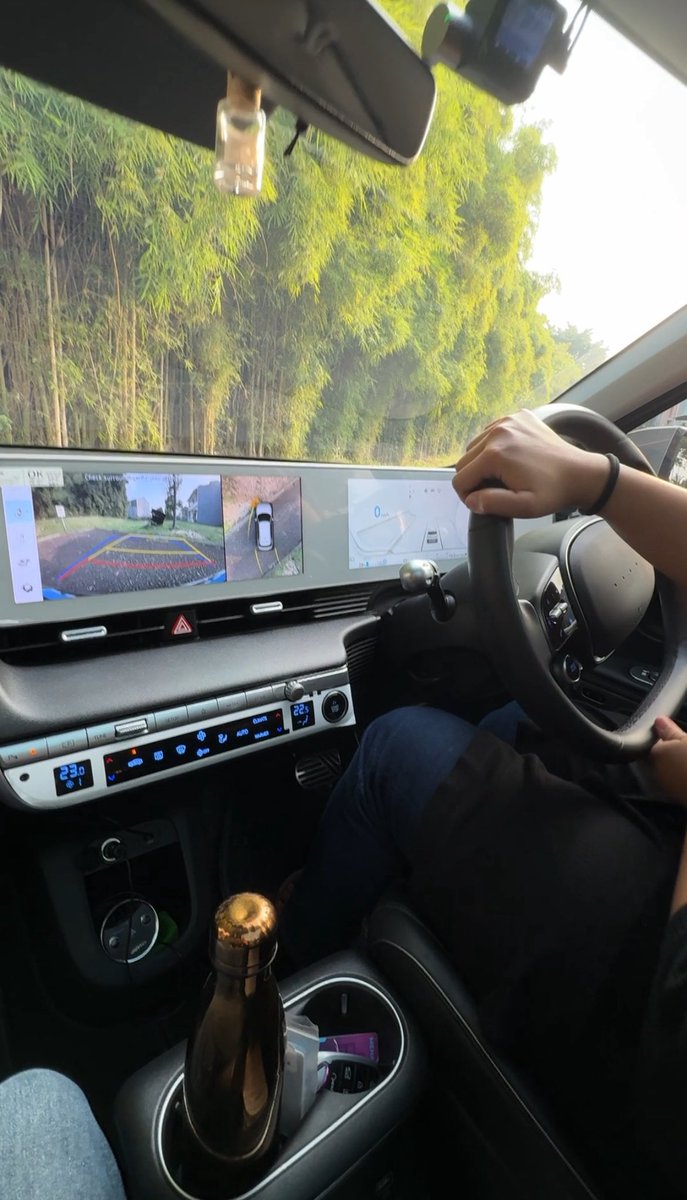 Scholastica ✨ tweet media