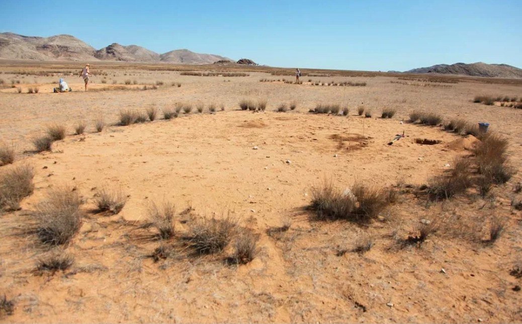 QDrop2450's tweet photo. FAIRY CIRCLES, Namibia 

Very interesting but also very weird! 🧐 https://t.co/z8P7EgOtBX