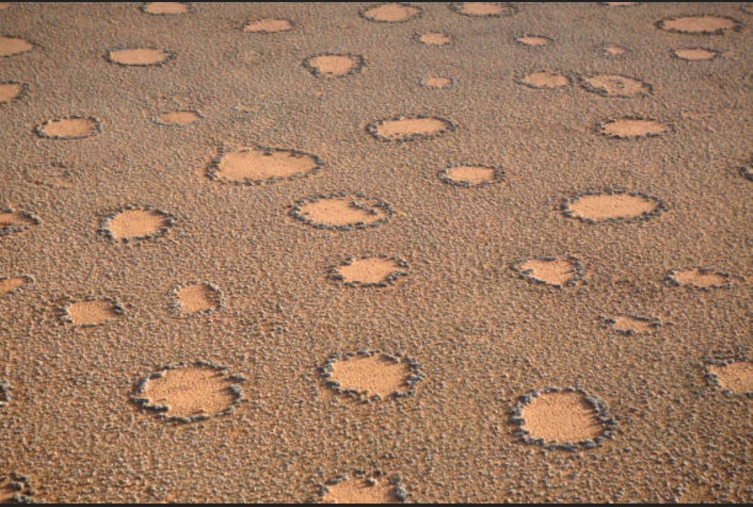 QDrop2450's tweet photo. FAIRY CIRCLES, Namibia 

Very interesting but also very weird! 🧐 https://t.co/z8P7EgOtBX