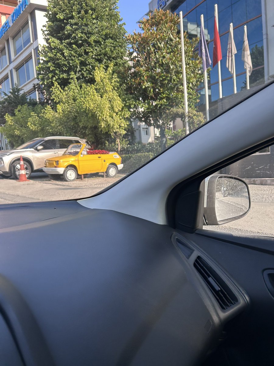 Nadiren ufak sevimli şeyler görebiliyosunuz bu şehirde