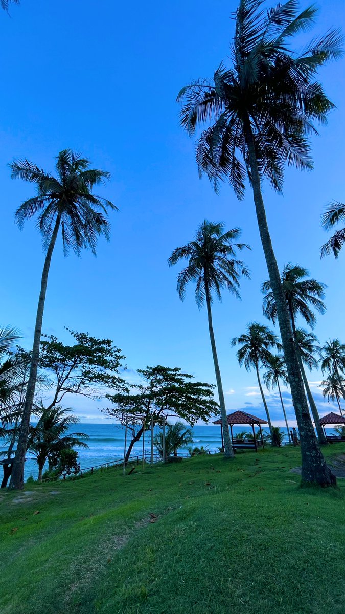 GugumSetia's tweet image. Pantai ini emang asik banget buat rebahan di atas rumput yang hijau 🫶🏼
#LongTrip #OnDuty