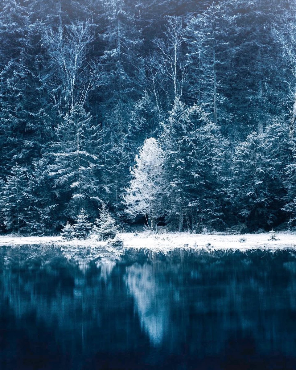 visualsofearth1's tweet photo. Bavaria, Germany https://t.co/1QkqMPzGPN