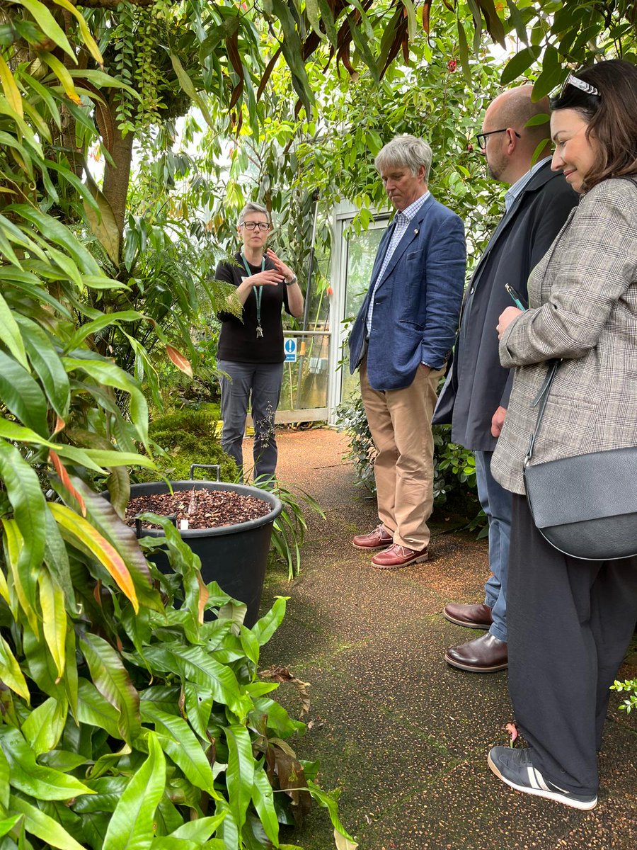 Net Zero, Energy and Transport Committee (@sp_netzero) on Twitter photo Thank you for having us <a href="/TheBotanics/">Royal Botanic Garden Edinburgh</a> yesterday!
We heard about;
👉the biomes project to protect the Garden's unique, globally important plant collection and iconic glasshouses for the future &
👉their work to promote nature-based solutions & help address the biodiversity crisis. Thank you for having us <a href="/TheBotanics/">Royal Botanic Garden Edinburgh</a> yesterday!
We heard about;
👉the biomes project to protect the Garden's unique, globally important plant collection and iconic glasshouses for the future &
👉their work to promote nature-based solutions & help address the biodiversity crisis.