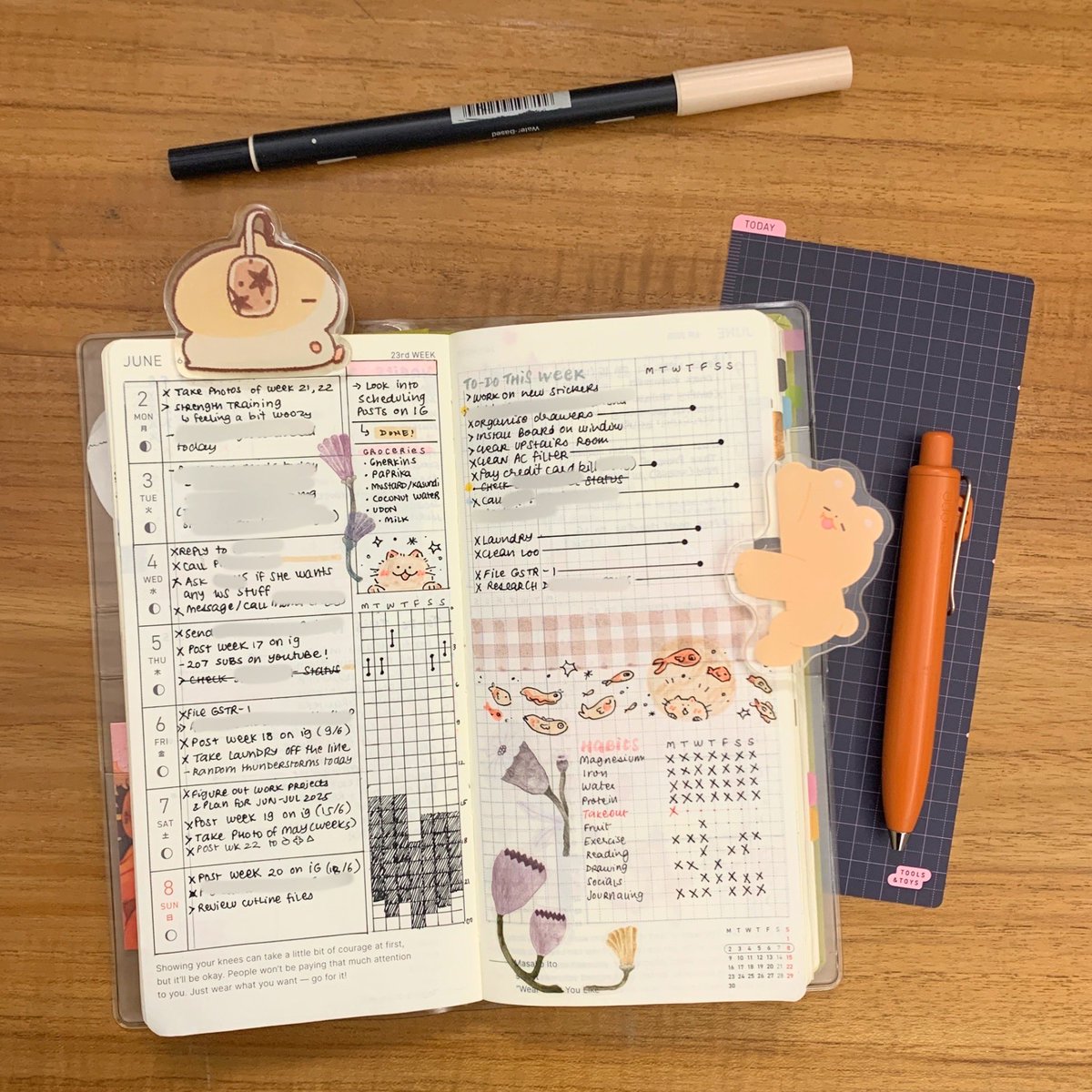 Week 23 in the Weeks 💛