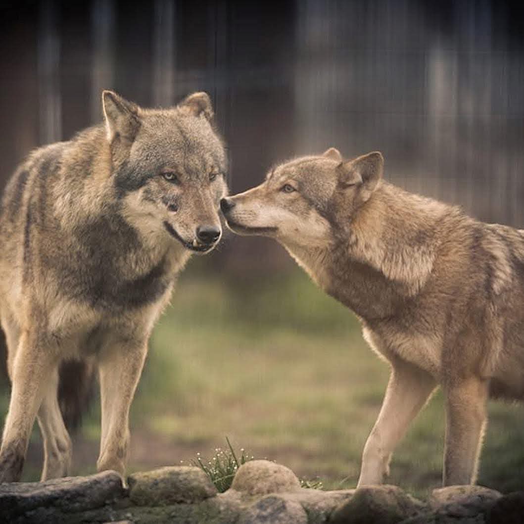 Great Photography.!💝