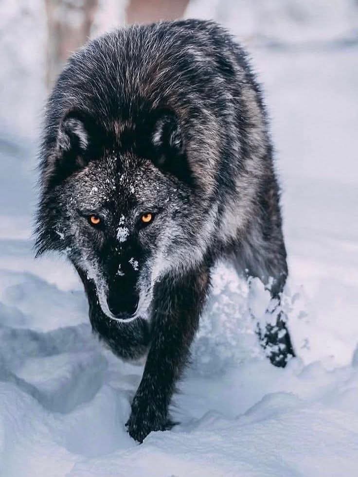 Fantastic photography❤️