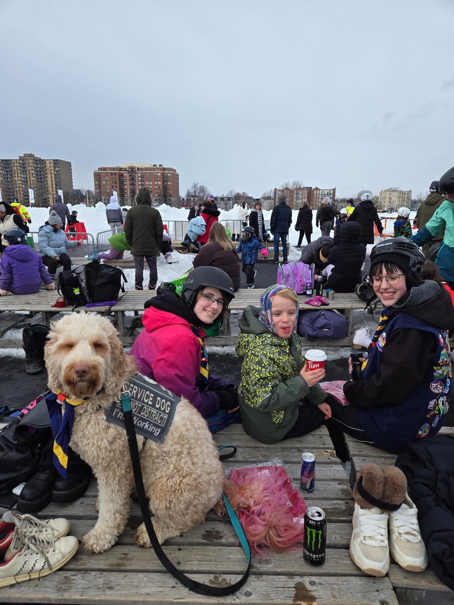 🐾 Meet Kira – a loyal service dog and proud member of 36th Halifax Colony &amp; Company!

She attends all Scouting events, helps her handler, and teaches youth about respect, accessibility &amp; inclusion.

Thanks for all you do, Kira! 💚
#ScoutsCanada #ServiceDog #InclusionInScouting