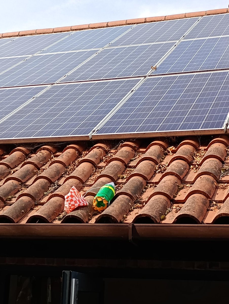 Sir Martin Frobisher tweet media