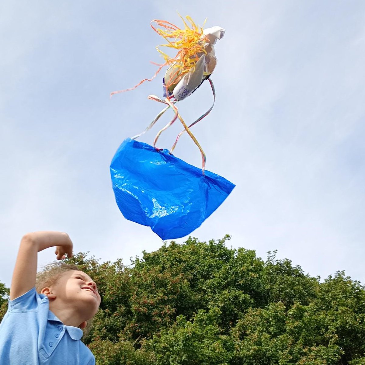 Sir Martin Frobisher tweet media