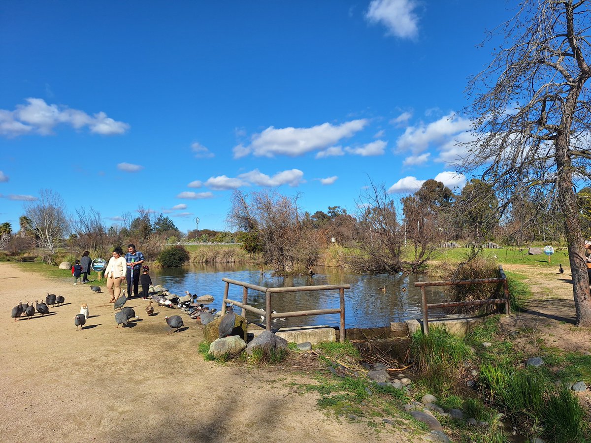 🟢Sabías que nuestra salud está estrechamente ligada al #Medioambiente❓Hoy es el Día de Lucha contra la #Desertificación y la #Sequía, fecha establecida por la ONU, para crear conciencia y solucionar estos problemas👇

+ info: facebook.com/share/p/15hYig…