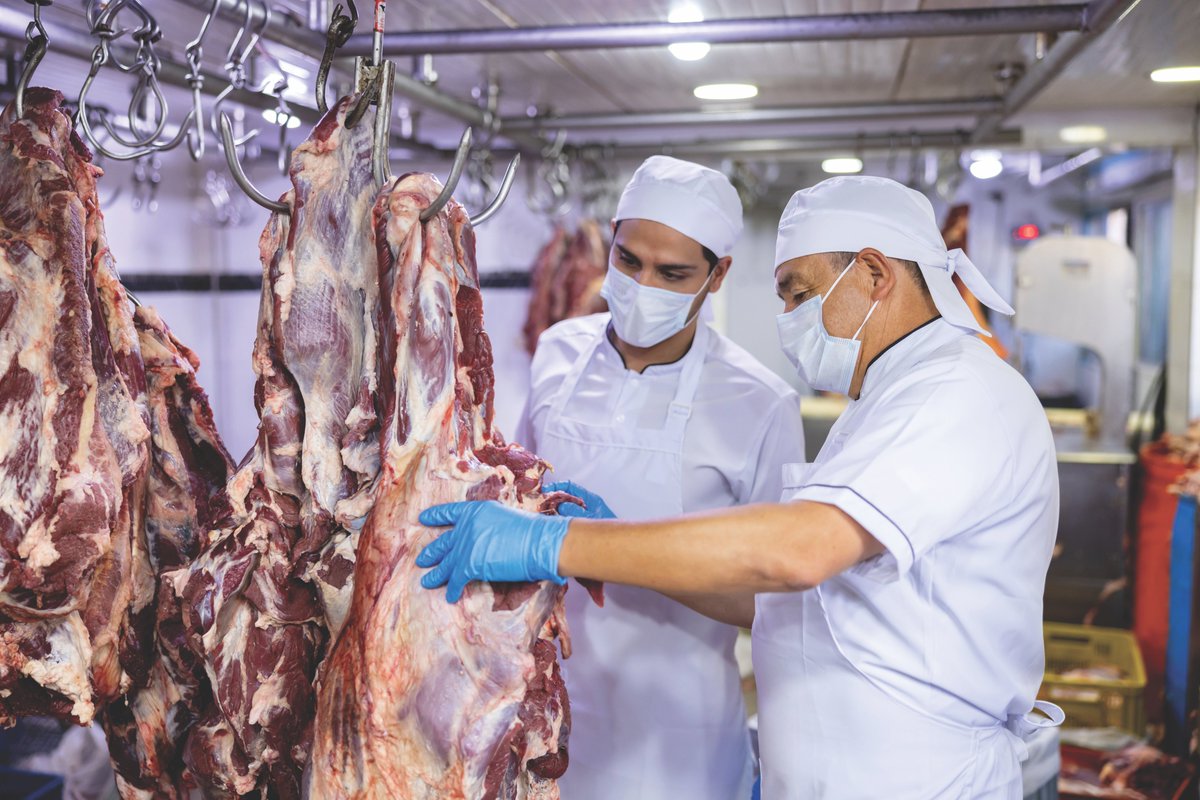 Lea sobre los métodos usados en #EEUU para evaluar los #atributos, la #suavidad y el #rendimiento de la #carne #bovina.

Aprenda como ese país ha fortalecido la consistencia de sus productos cárnicos, cumpliendo con la satisfacción de los consumidores. bit.ly/3ZWWpI3