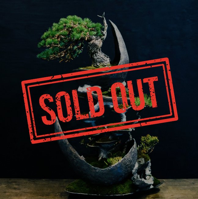 ／
 超速報: 5.6789ETHで二次流通?!?!
＼

「BONSAI NFT GALLERY」の作品である創作盆栽×NFTの螺旋が5.6789ETHで二次流通㊗️🎊

※前回の二次流通は2023年10月31日「雨飾: AMAKAZARI」