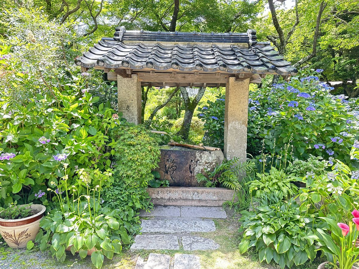 uka_snoopy's tweet photo. 季節のおすそわ〜け☔️͛💠 https://t.co/dpGn7Qntje