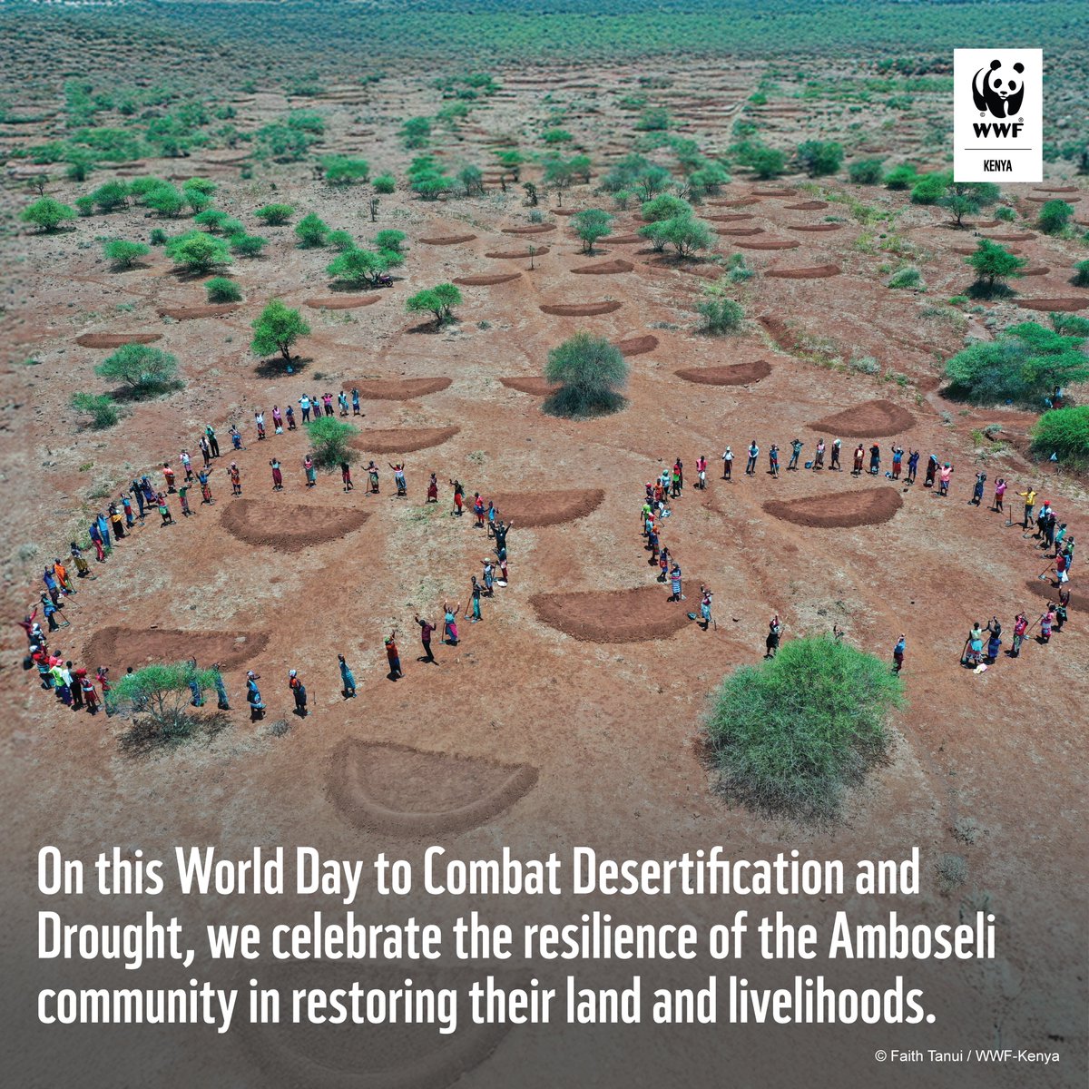 On this World Day to Combat Desertification and Drought, we celebrate the resilience of the Amboseli community in restoring their land and livelihoods. 

Together, we have put 2,846.35 hectares under restoration through 77,000 Earth Smiles, helping retain water and soil nutrients