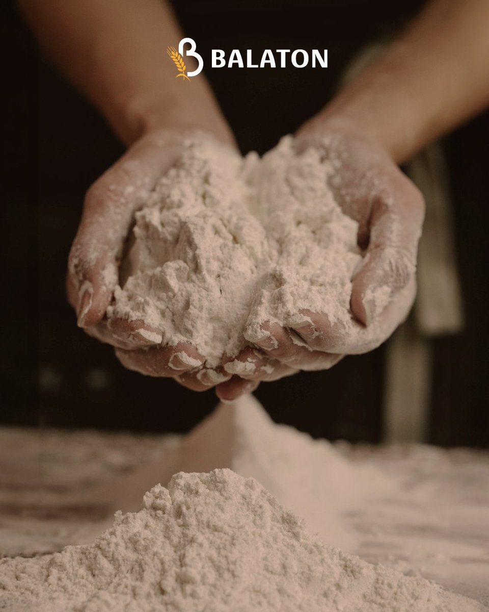 MolinosBalaton's tweet photo. Desde el campo hasta tu producción, cada etapa está pensada para asegurar calidad. Del mejor trigo, la mejor harina. #MolinosBalaton  #HarinasBalaton #CalidadTriguera https://t.co/K0aHqrepkV