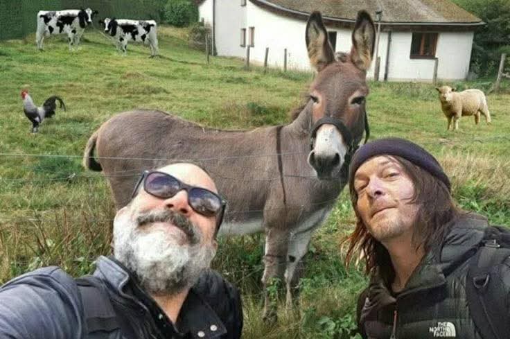 #TheWalkingDead🖤🫏
<a href="/wwwbigbaldhead/">norman reedus</a> <a href="/JDMorgan/">Jeffrey Dean Morgan</a>