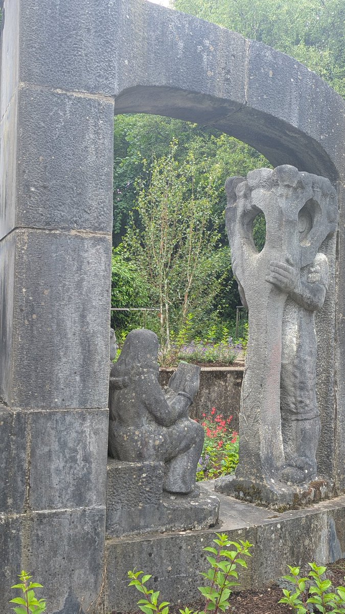 Silver Birch #IHPCC2025 ☘️