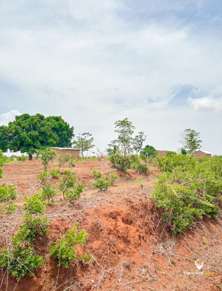 TheTouristG_'s tweet photo. 📍Ngaoundéré vue depuis le train 🚊
L’arrivée approche, le cœur s’emballe.
À travers la vitre, les paysages changent.
Le voyage commence bien avant le terminus.
#Ngaoundéré #VoyageAuCameroun #Adamaoua #TourismeCameroun #TravelAfrica #TheTouristGuide https://t.co/Eem1LA4Jmk