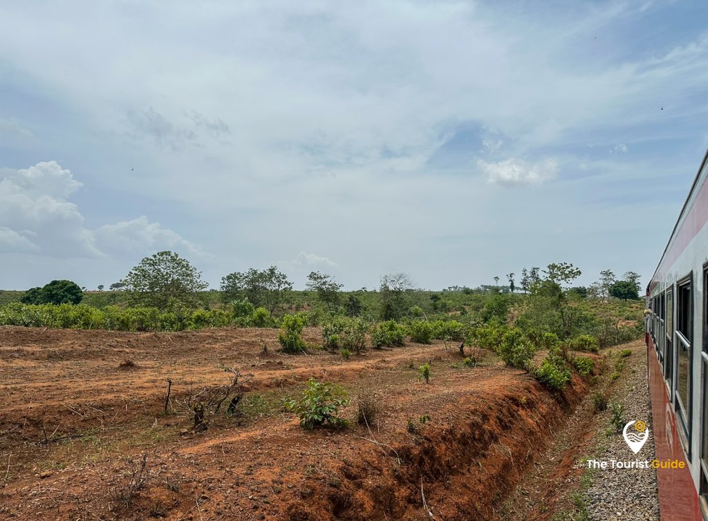 TheTouristG_'s tweet photo. 📍Ngaoundéré vue depuis le train 🚊
L’arrivée approche, le cœur s’emballe.
À travers la vitre, les paysages changent.
Le voyage commence bien avant le terminus.
#Ngaoundéré #VoyageAuCameroun #Adamaoua #TourismeCameroun #TravelAfrica #TheTouristGuide https://t.co/Eem1LA4Jmk