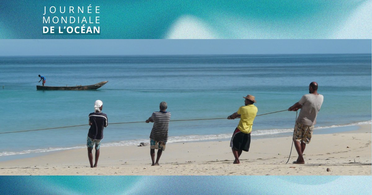 Banque mondiale (@banquemondiale) on Twitter photo #PlanèteViable
☑️ Investir dans les communautés
☑️ Sensibiliser le public
☑️ Mobiliser des financements
C’est la voie à suivre pour protéger l’océan, les populations, l’économie et la planète.
🔎 À découvrir : wrld.bg/wPP550W5LyQ #PlanèteViable
☑️ Investir dans les communautés
☑️ Sensibiliser le public
☑️ Mobiliser des financements
C’est la voie à suivre pour protéger l’océan, les populations, l’économie et la planète.
🔎 À découvrir : wrld.bg/wPP550W5LyQ