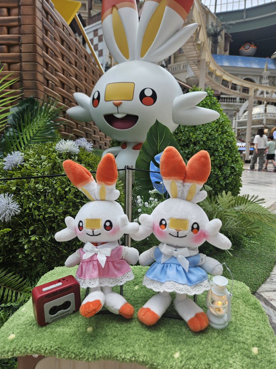 #ブニとブギ #ポケモン #ポケぬい
ロッテワールドに行ったよ~ 友達がいっぱいいたよ
いたよ~