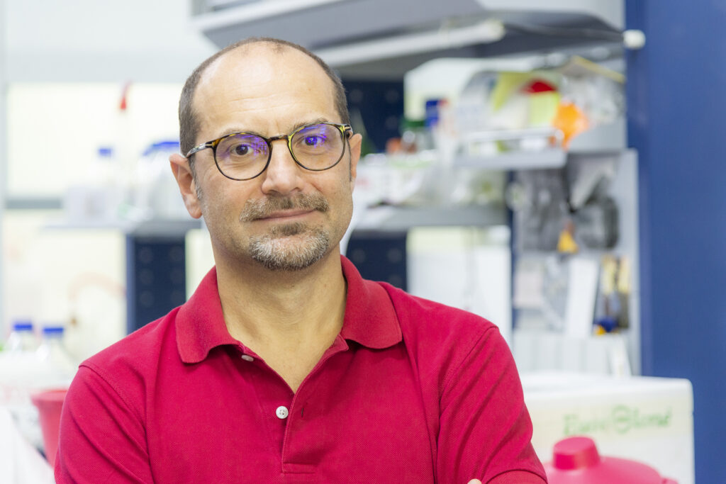Fondazione Telethon (@fondaz_telethon) on Twitter photo Nuovi circuiti genetici per terapie più sicure: finanziamento <a href="/ERC_Research/">European Research Council (ERC)</a> da 2,5 milioni a Diego di Bernardo di <a href="/Tigem_Telethon/">Tigem Telethon</a>
Leggi la news: bit.ly/3SXofQm Nuovi circuiti genetici per terapie più sicure: finanziamento <a href="/ERC_Research/">European Research Council (ERC)</a> da 2,5 milioni a Diego di Bernardo di <a href="/Tigem_Telethon/">Tigem Telethon</a>
Leggi la news: bit.ly/3SXofQm