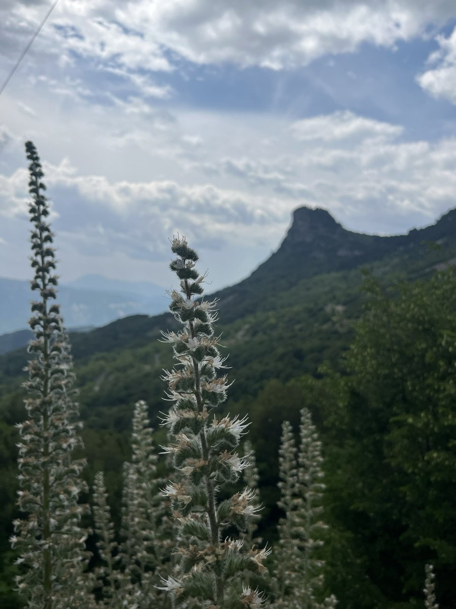 Η ζωή στο δυσπρόσιτο vol. 28 
Απολαύστε γιατί φέυγω 💨