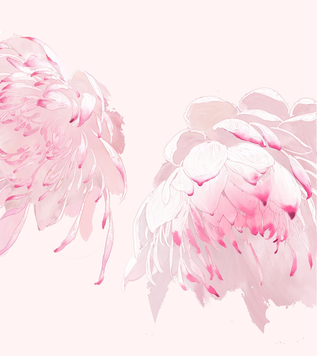 摸鱼斋 (@washanapple) on Twitter photo 