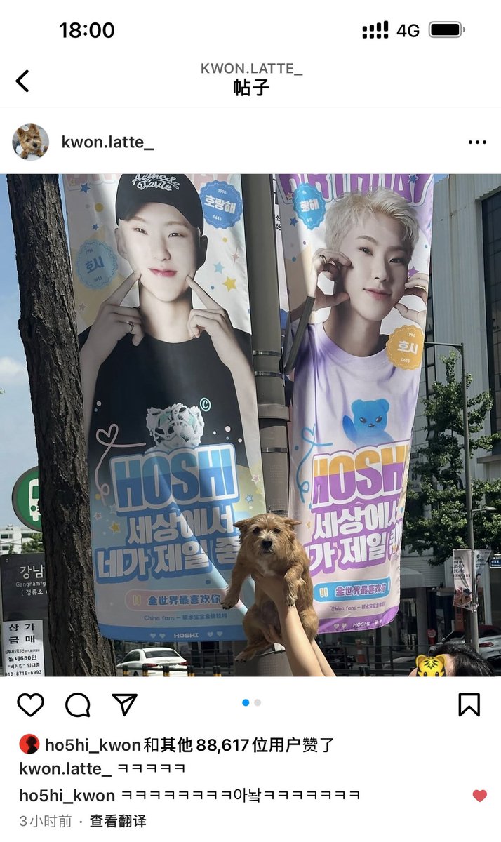 HOSHI tigerbread 🐯 tweet media